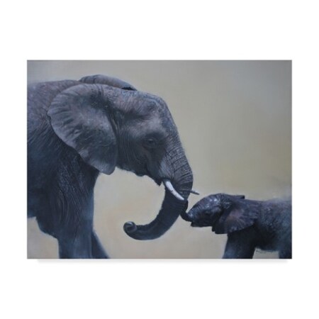 Trademark Fine Art Pip Mcgarry 'Ele And Baby Mara 2013' Canvas Art, 35x47 ALI44258-C3547GG